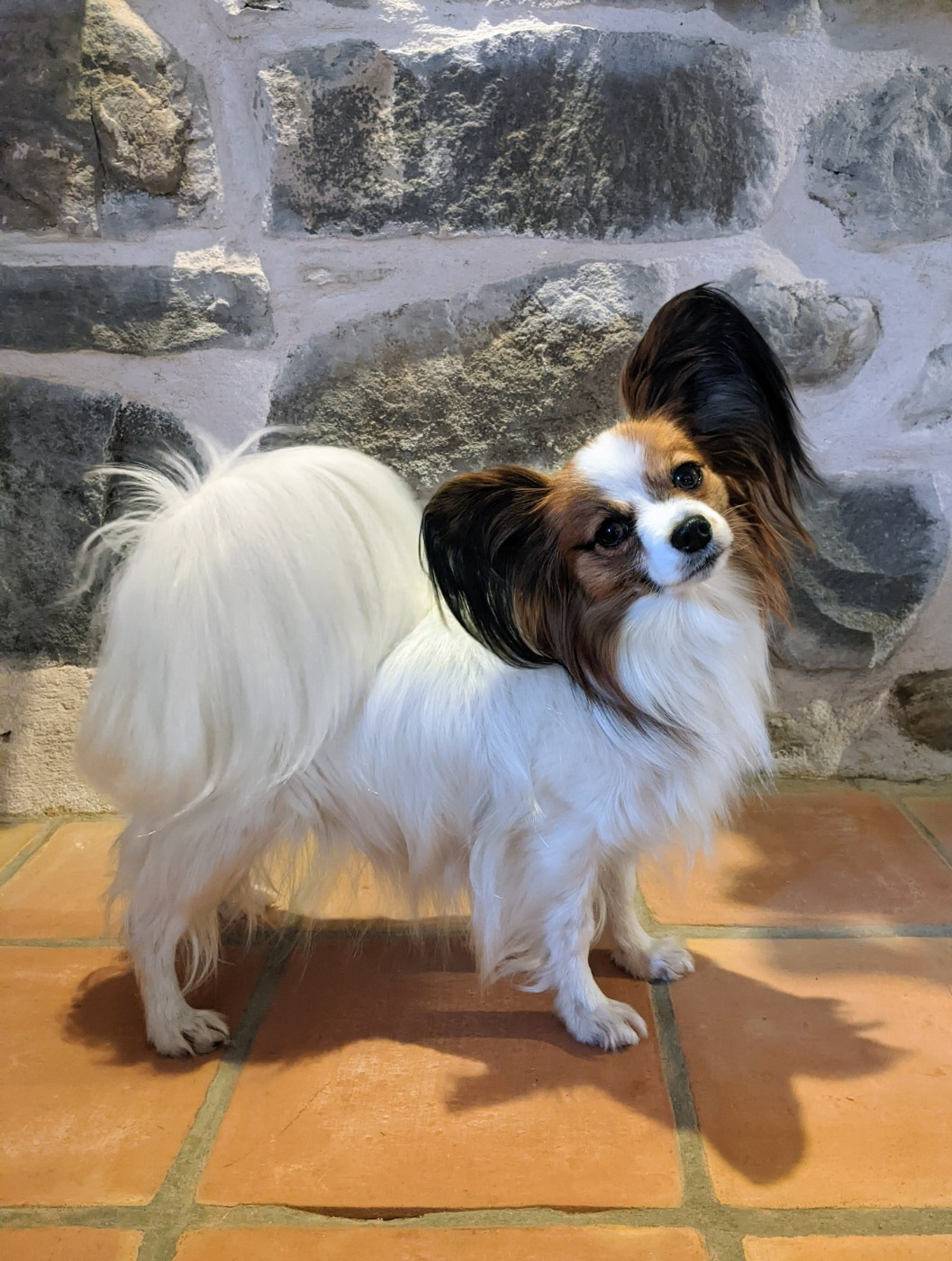 CH. Una (Sans Affixe)